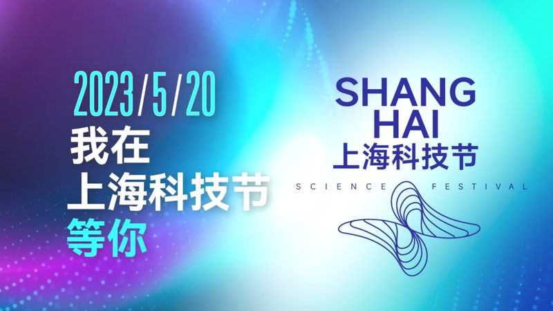 数据安全备份策略：如何构建稳固的防线